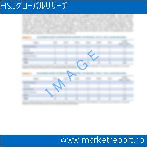 市場と産業調査レポートのイメージ